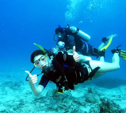 Scuba Diving In Goa