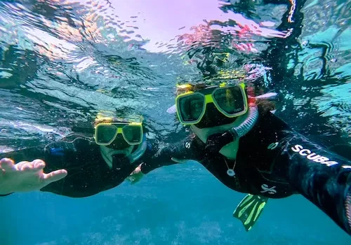 Scuba Diving In Goa