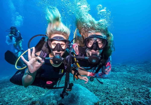 Scuba Diving In Goa