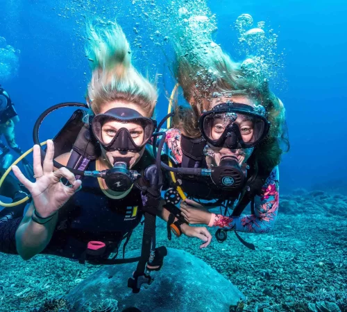 Scuba Diving In Goa