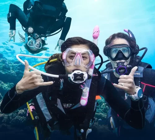 Scuba Diving In Goa